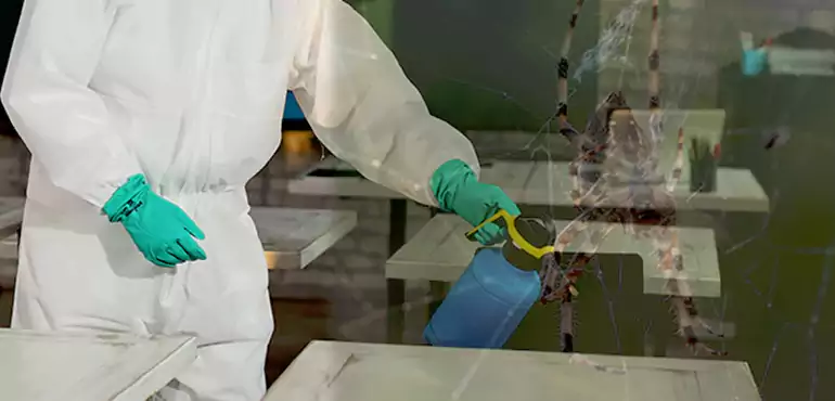 Why Buyers Still Want Homes With Pest Infestations in Alexandria, VA?