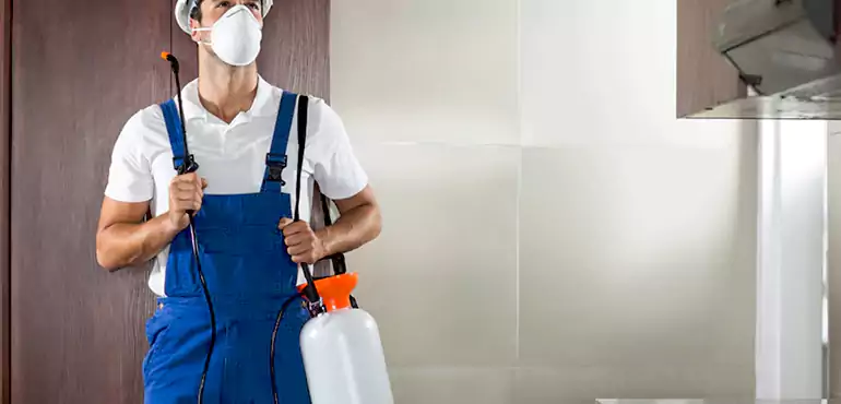 Why Alexandria Homeowners Choose Us When Pests Make Selling Difficult