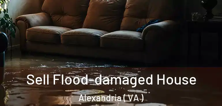  Sell Flood-damaged House Alexandria ( VA )