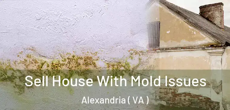  Sell House With Mold Issues Alexandria ( VA )